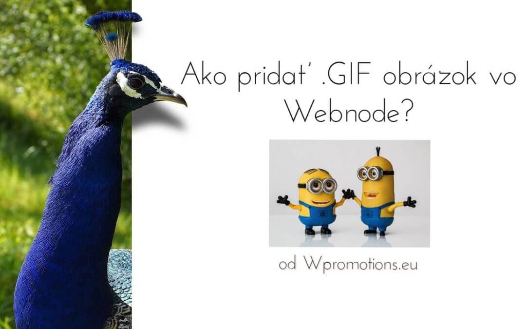 Ako pridať obrázok GIF vo Webnode?