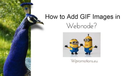 How to Add GIF Images in Webnode?