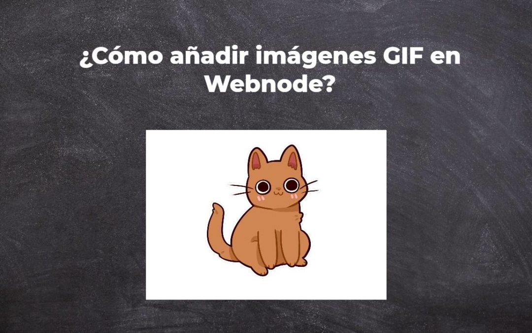 ¿Cómo añadir imágenes GIF en Webnode?