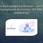 GRANSKNING AV EN WEBBSHOP MED PREMIUM BUSINESS HOS WEBNODE