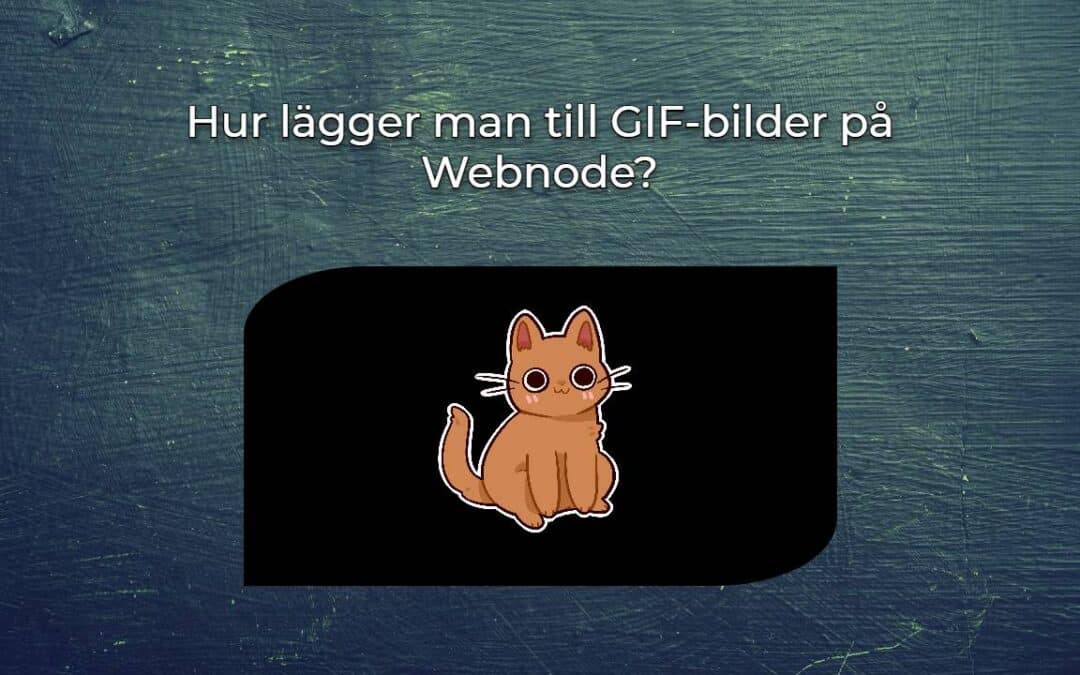 Hur lägger man till GIF-bilder på Webnode?