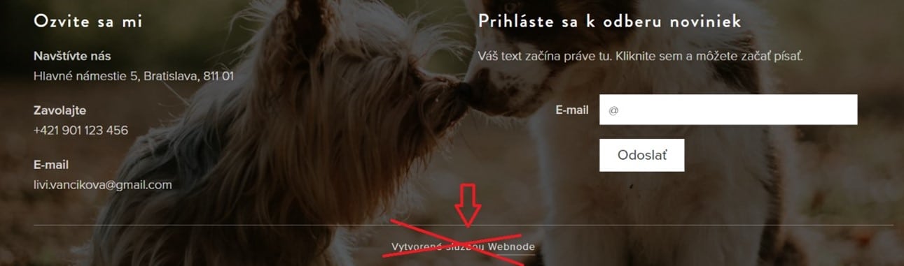 vytvorené službou Webnode v pätičke stránky
