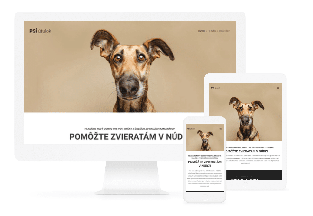 Tvorba webových stránok pre chovateľskú stanicu -Webnode