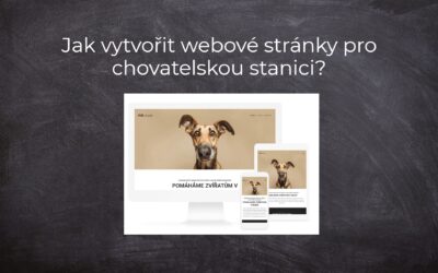 Jak vytvořit webové stránky pro chovatelskou stanici?